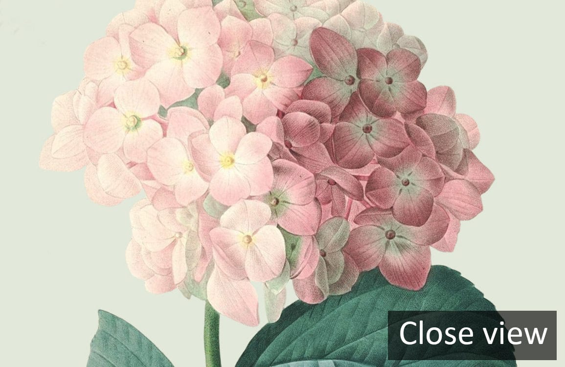 Close view of elegant vintage floral garden wallpaper featuring colourful blossoms on a pastel green background.