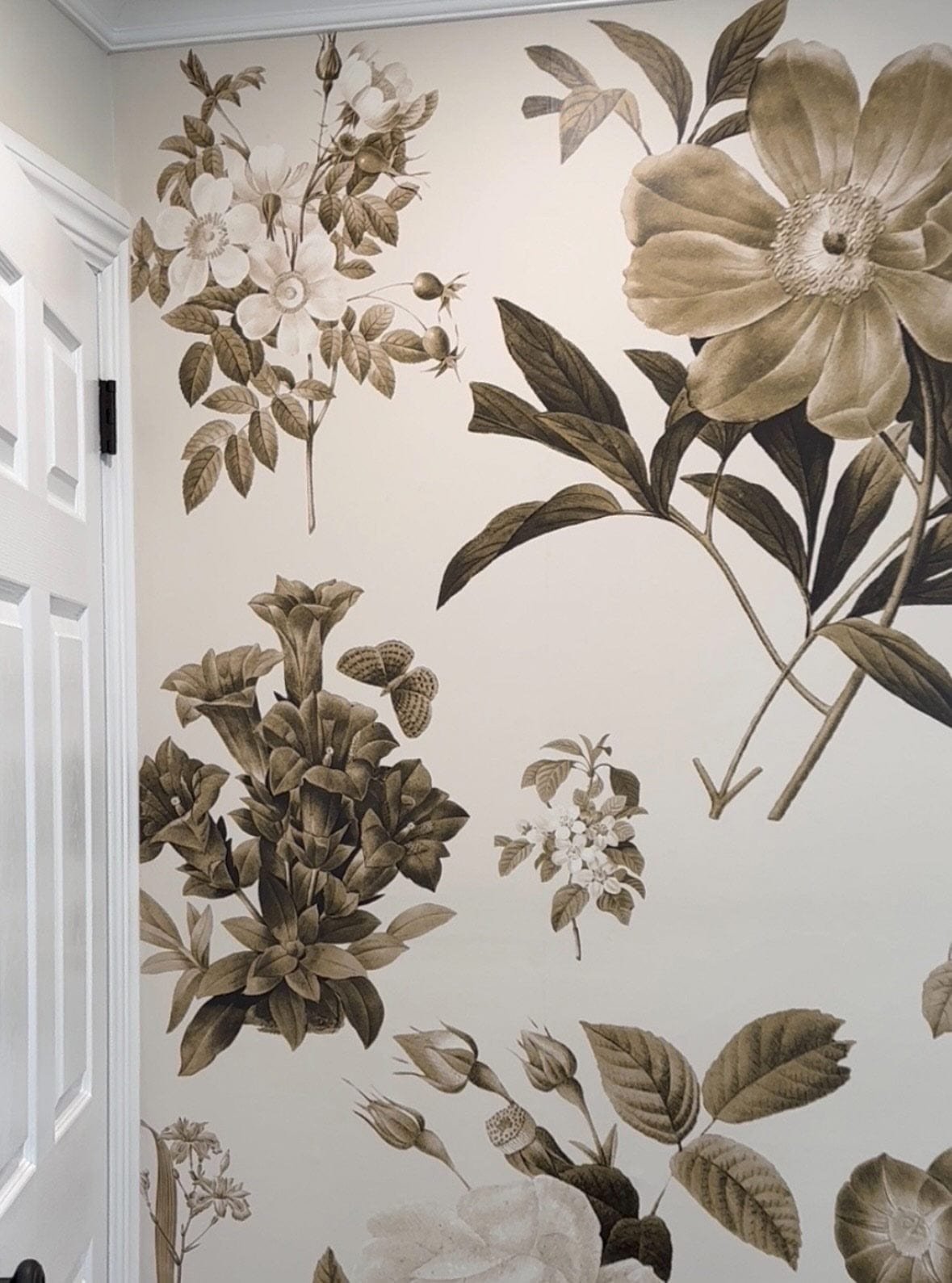 Vintage sepia floral wallpaper for classic interiors, floral pattern enhancing a white wall setting.