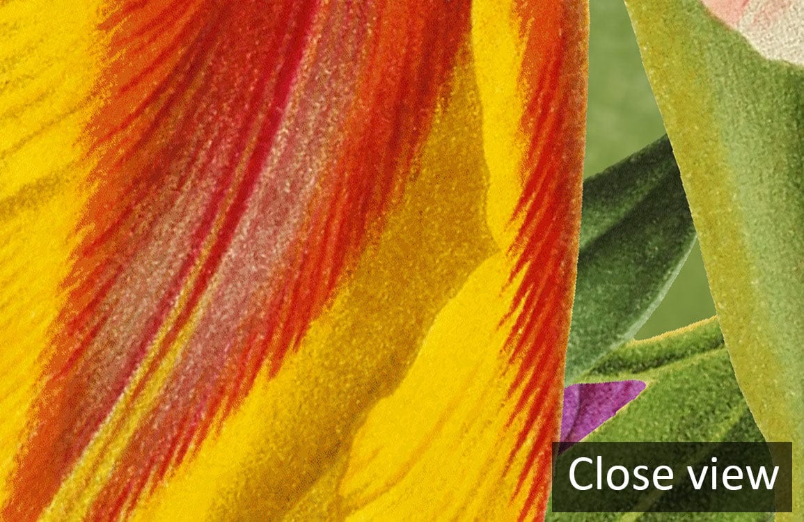 Close-up of Colourful Vintage Floral Garden Mural Wallpaper showcasing vibrant floral design, featuring vivid colours.