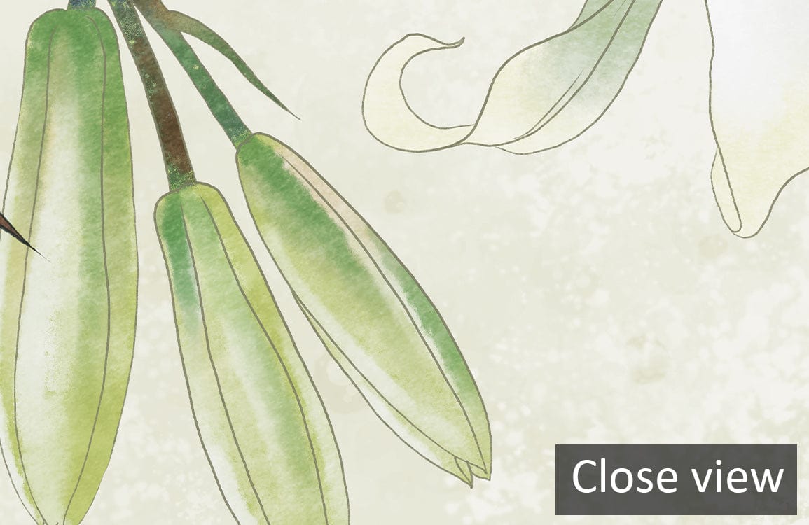 Close view of Elegant White Lily Watercolour Mural Wallpaper depicting delicate green floral design.