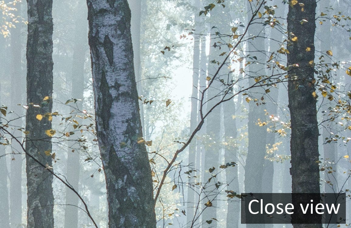 Close-up of Serene Misty Forest Mural Wallpaper, featuring tranquil blue and green forest design.
