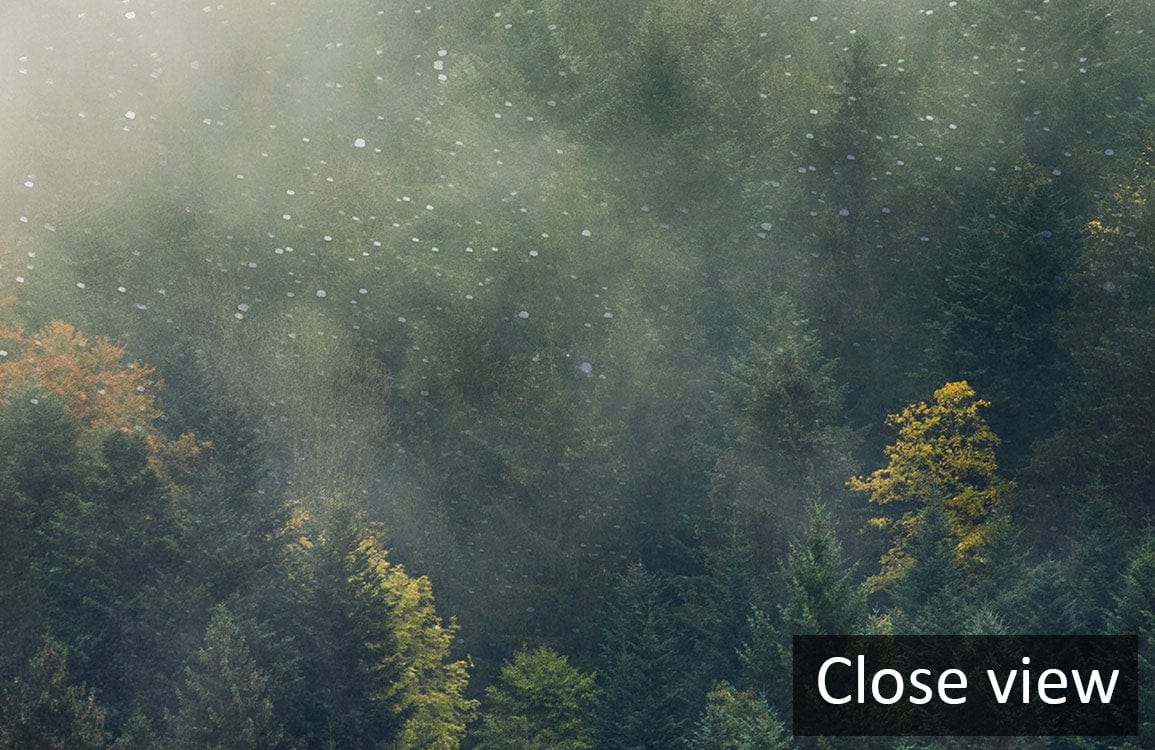 Misty Forest Green Scenic Mural Wallpaper close view, ideal for tranquil nature-inspired room decor.