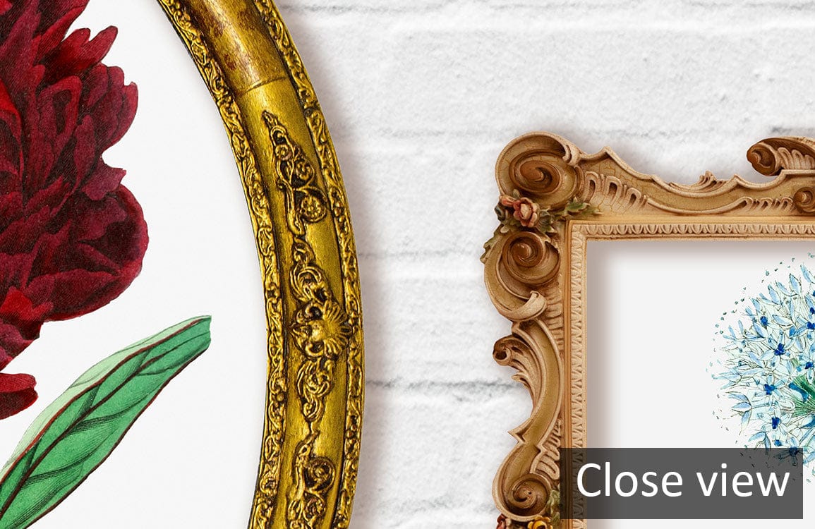 Close-up of Vintage Floral Gallery Mural Wallpaper showcasing ornate frames on white textured wall.