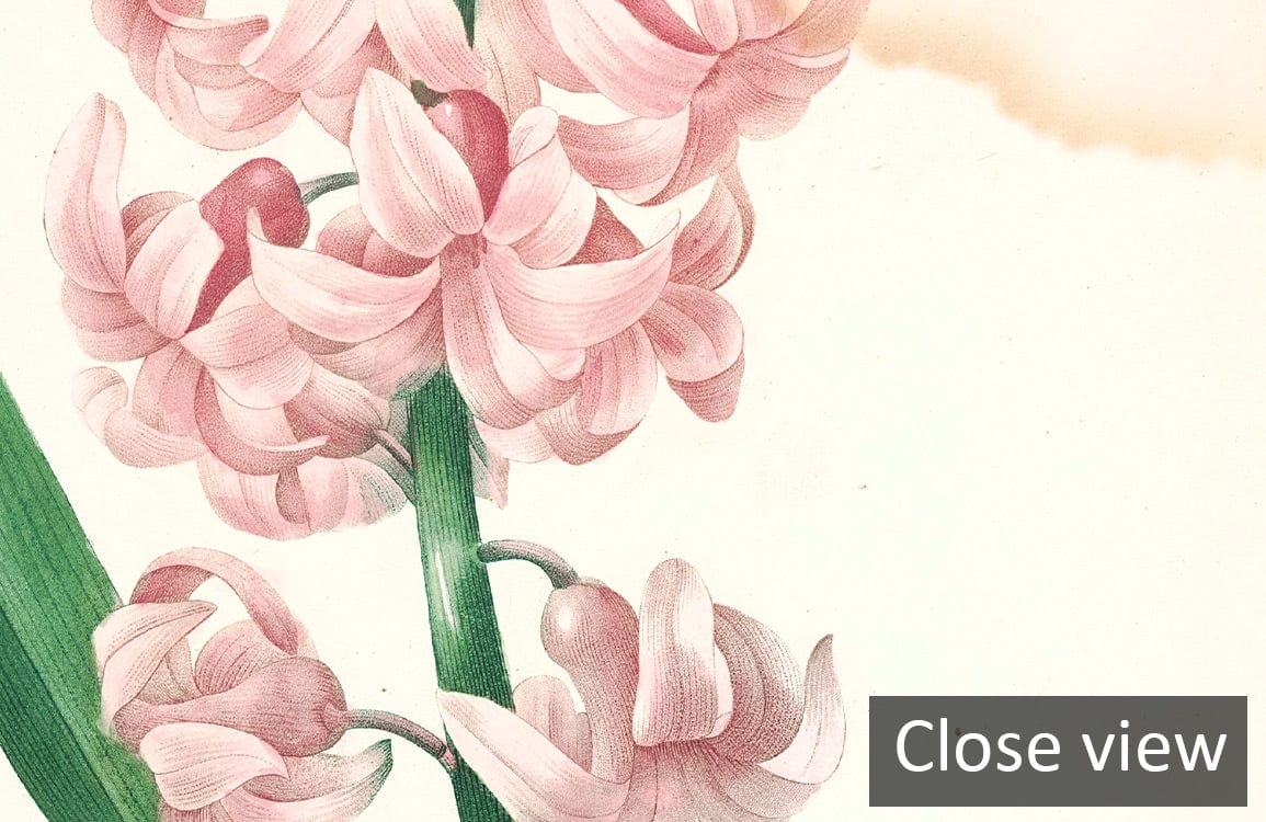 Close-up of Vintage Botanical Floral Art Print Mural Wallpaper, featuring pastel-coloured flowers.