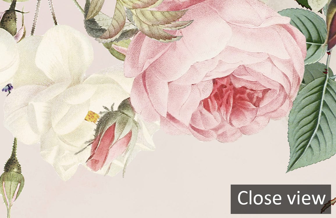 Close-up of Vintage Floral Blossom Mural Wallpaper; pastel hues, pink and white roses, elegant detail.