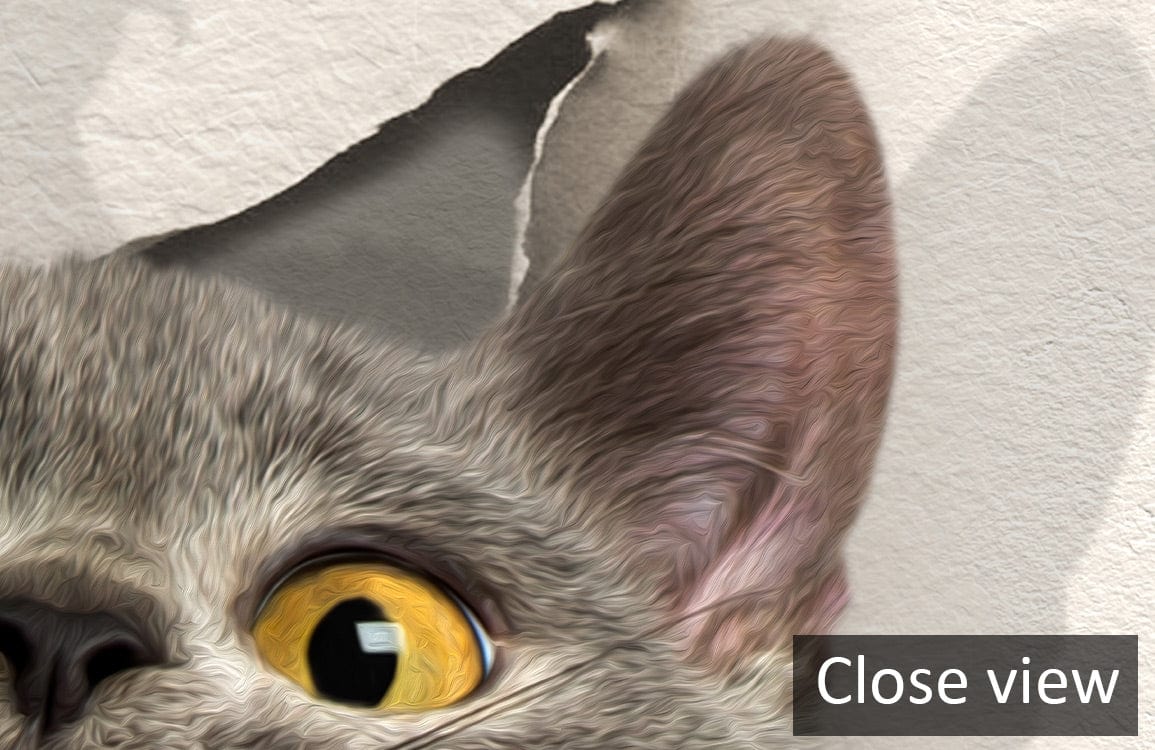 Close-up of Grey Cat Peek-a-Boo 3D Mural Wallpaper showcasing playful cat ears and yellow eyes.