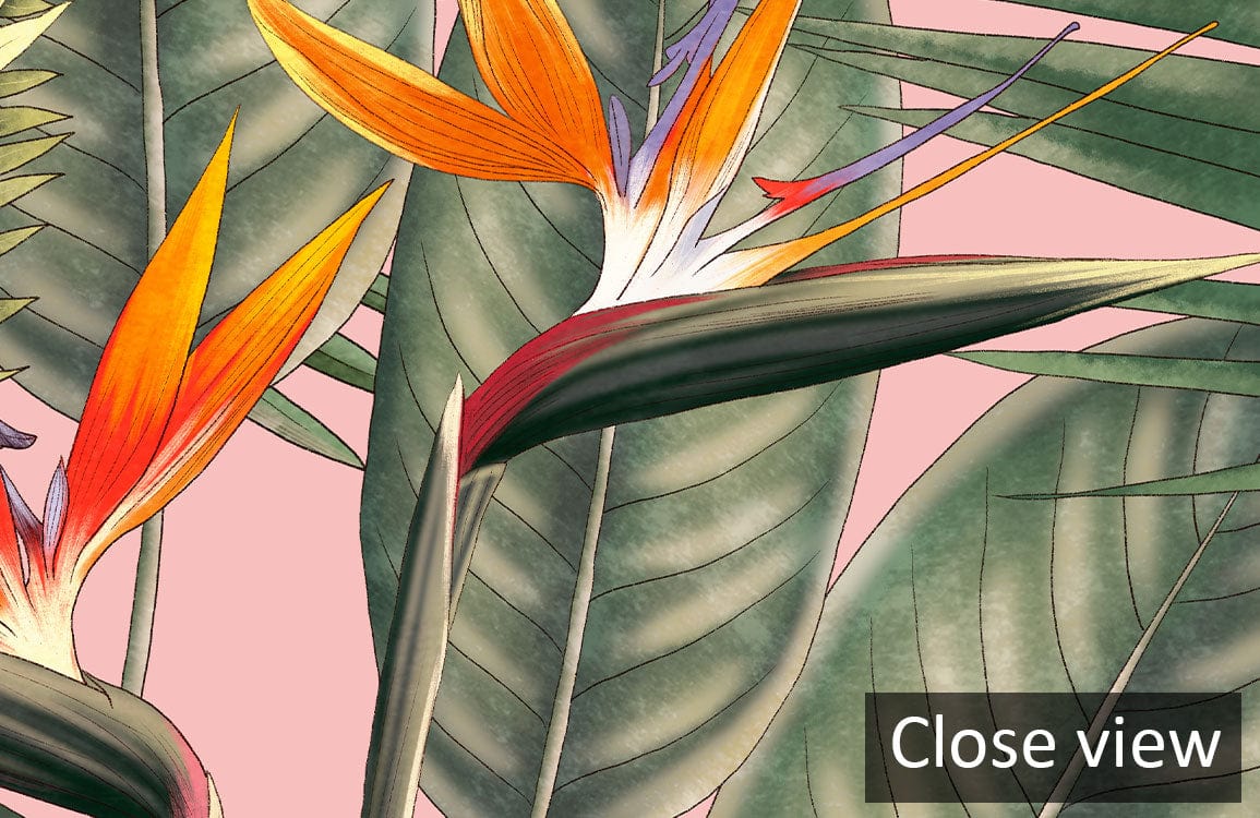 Close view of Tropical Paradise Botanical Wallpaper with pink backdrop and vibrant exotic foliage design.