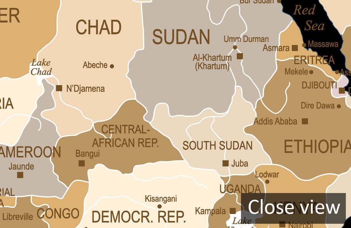 Close-up of vintage world map mural wallpaper with a black and beige theme highlighting African countries.