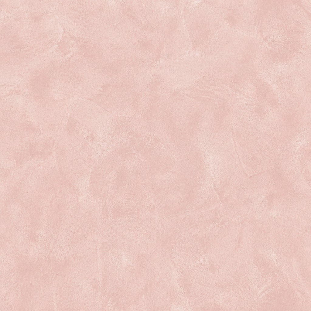 Blush Soft Wallpaper Mural product view