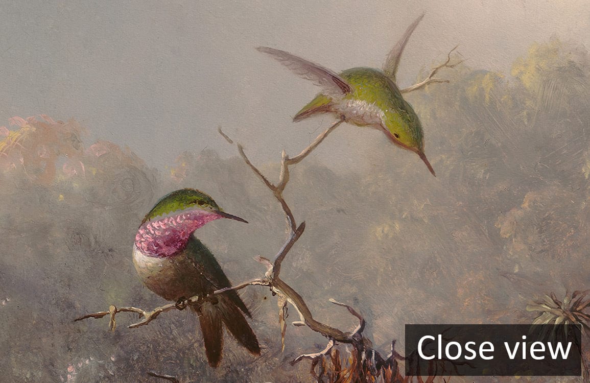 Close view of Exotic Rainforest Fantasy Mural Wallpaper featuring hummingbirds and orchids, natural scene.