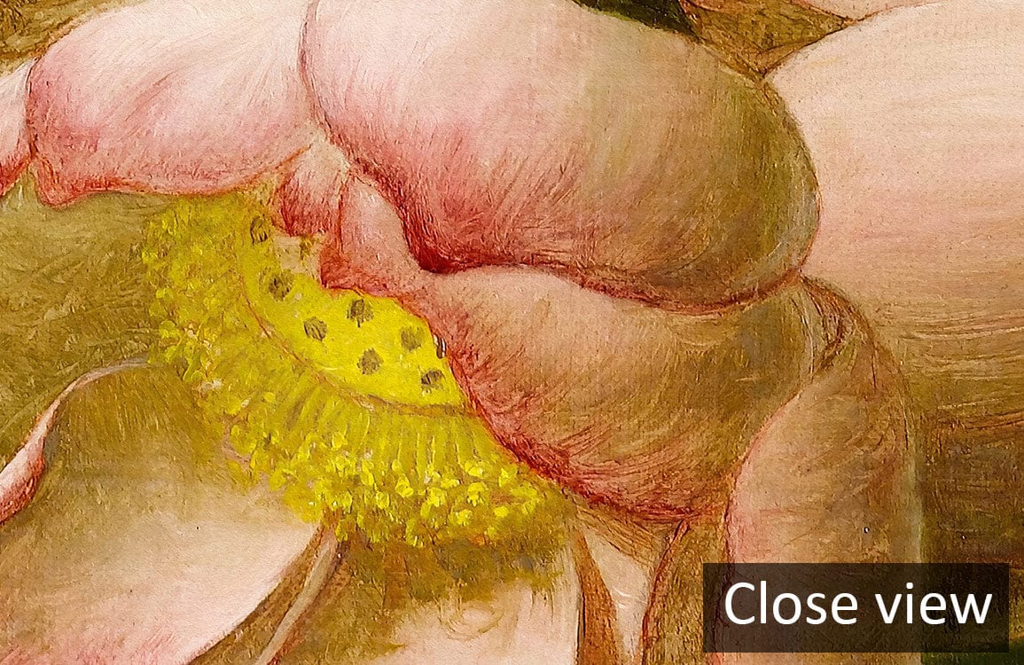Close-up of Elegant Vintage Floral Mural Wallpaper showcasing romantic pink peony blooms design.