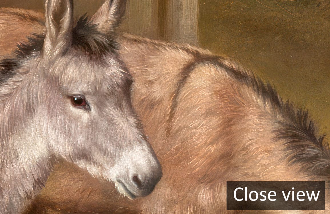Close-up of donkey on Country Farmyard Animals Scene Mural Wallpaper in Rustic Earthy Tones.