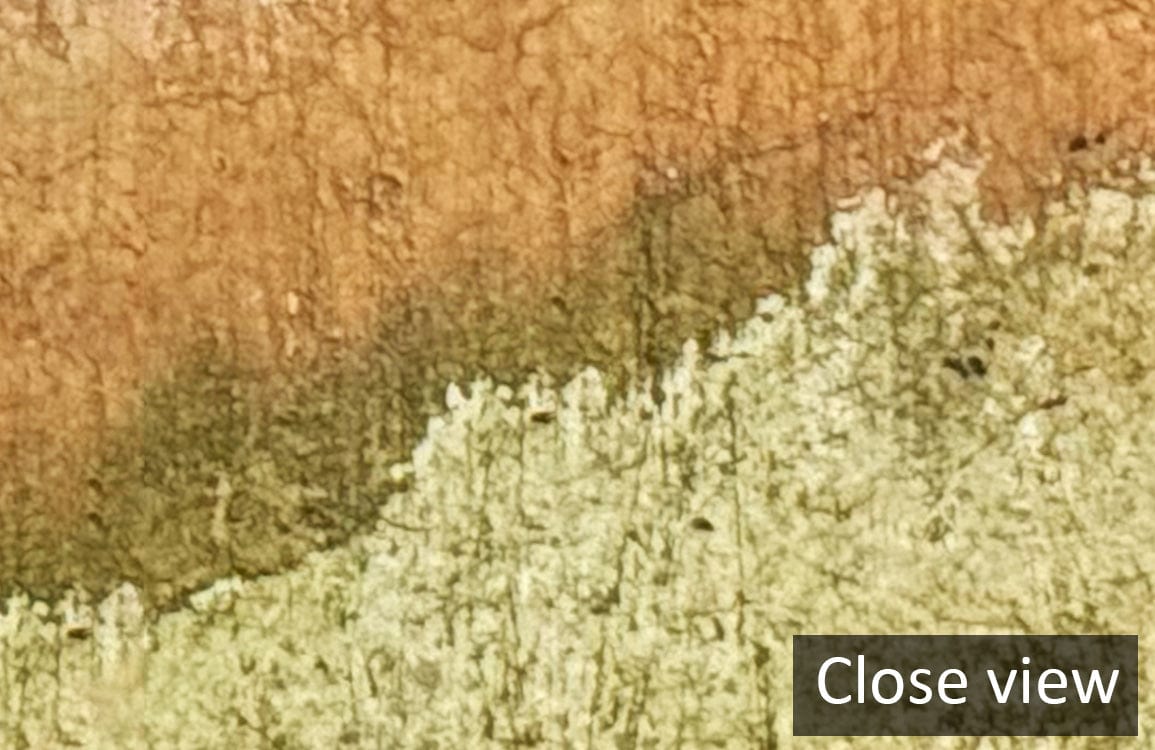 Close-up of Rustic Autumn Forest Textured Mural Wallpaper in Earthy Green Tones detail.