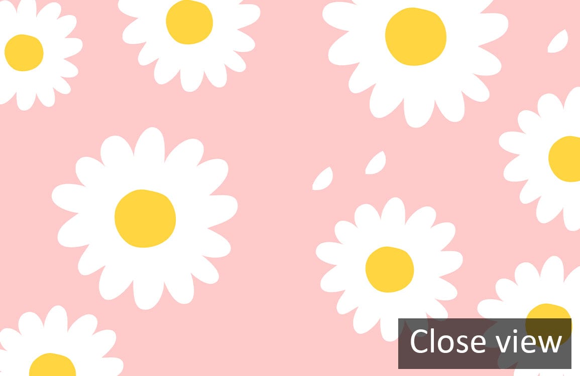 Charming pink daisy wallpaper, floral pattern, close view, cheerful spring Décor for any room.