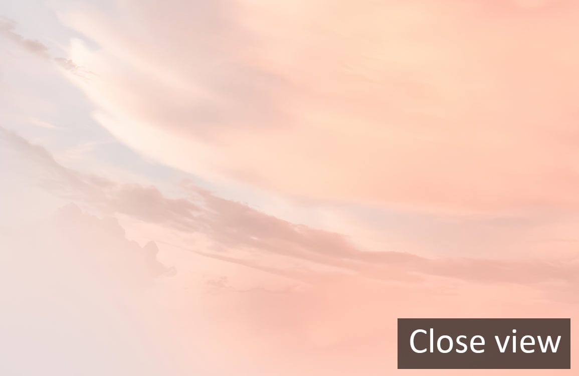 Blush Twilight Sky Mural Wallpaper