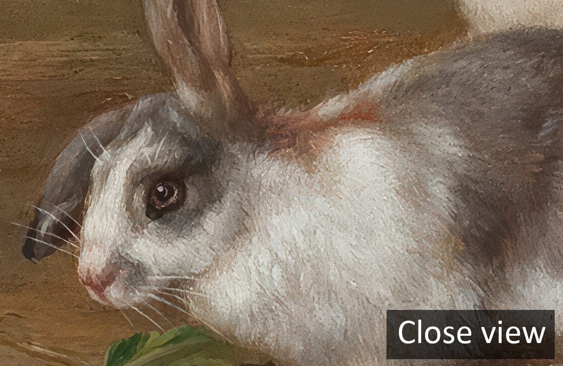 Close-up of rabbit from Vintage Farmyard Scene Wallpaper: Rustic Countryside Animals and Vegetables Mural.
