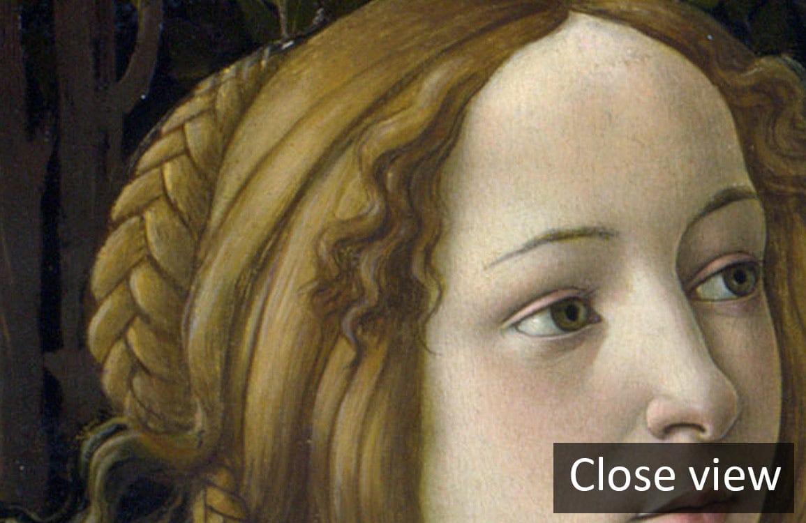 Close view of Renaissance Art Mural Wallpaper: Botticelli Classic featuring cherubs and figures, detailed portrait.