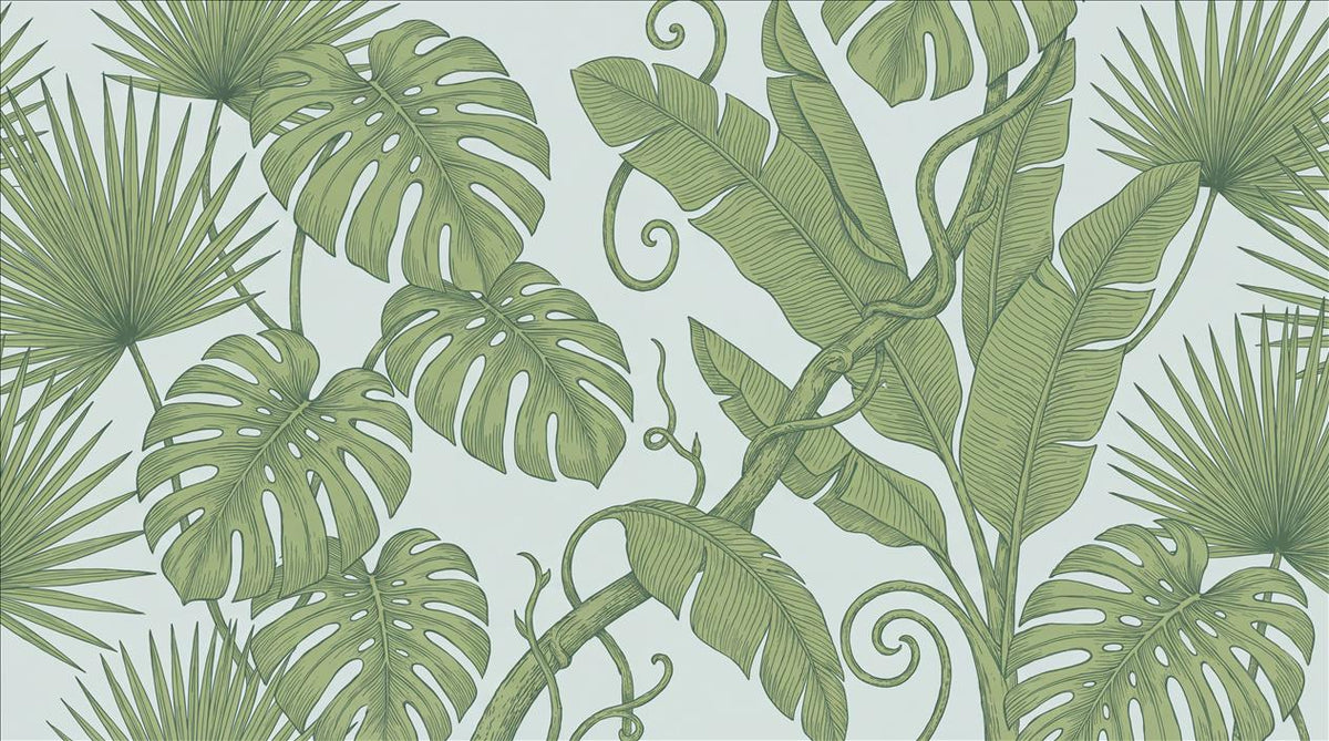 Sage Green Curling Vines Tropical Wallpaper Mural