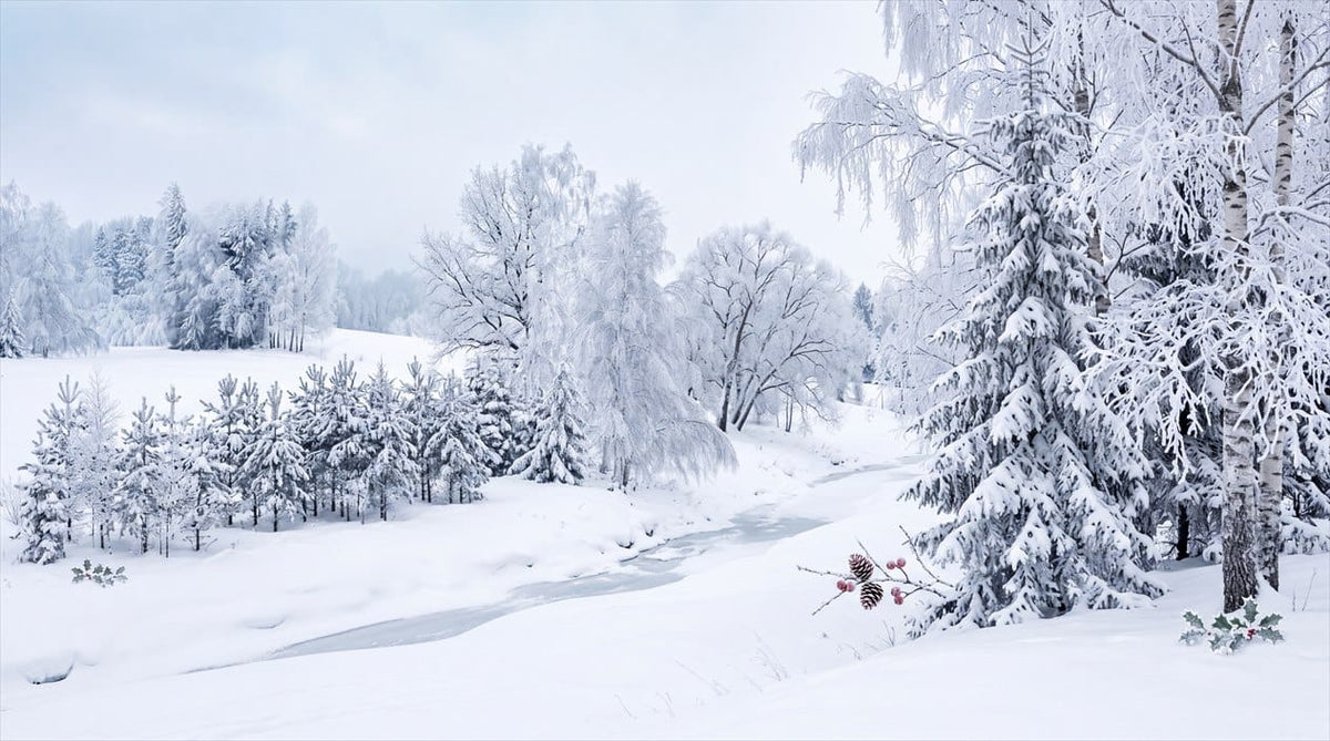 Icy White Snowy Nordic Winter Forest Wallpaper Mural in custom