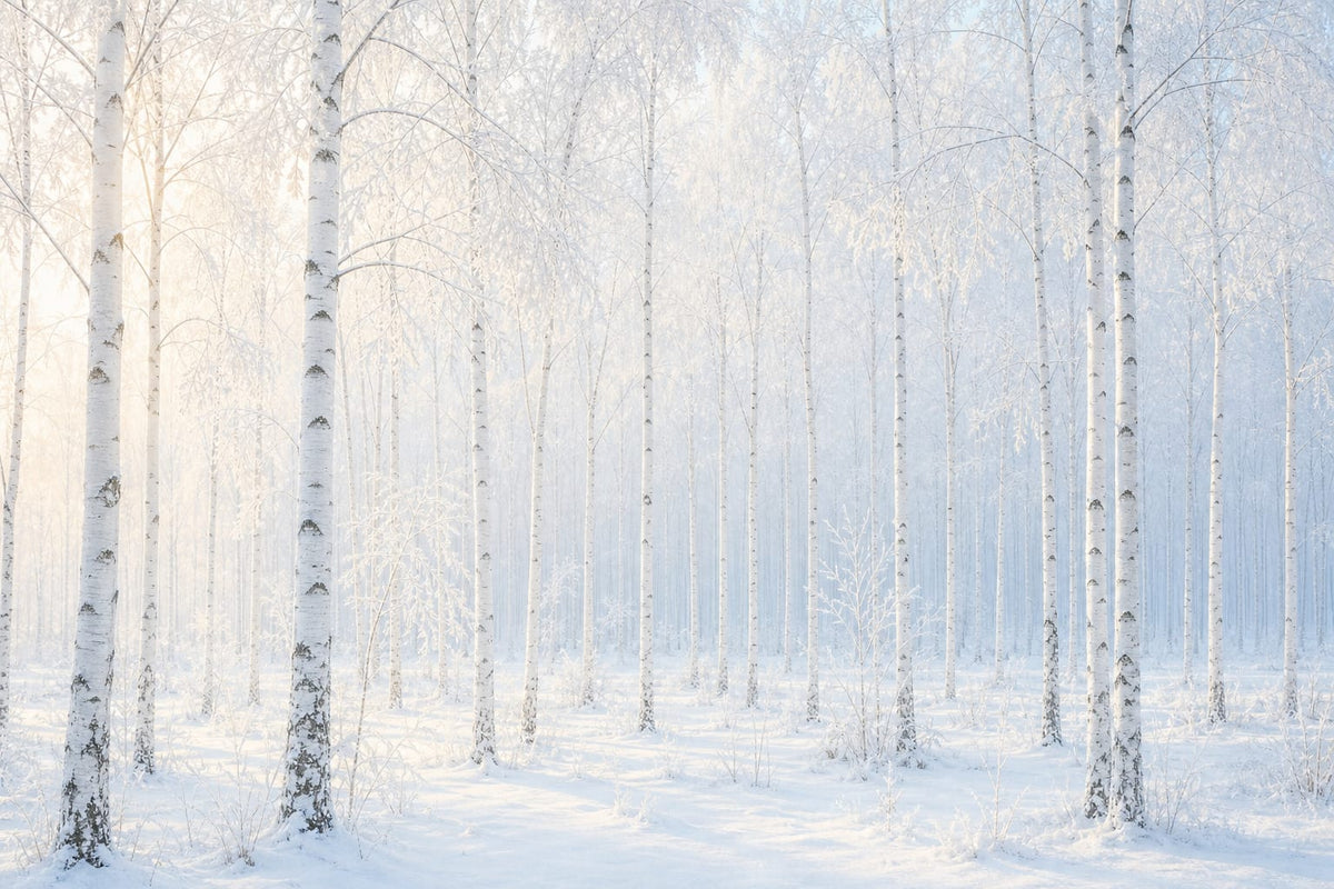 Ivory Frost Wallpaper Mural product view