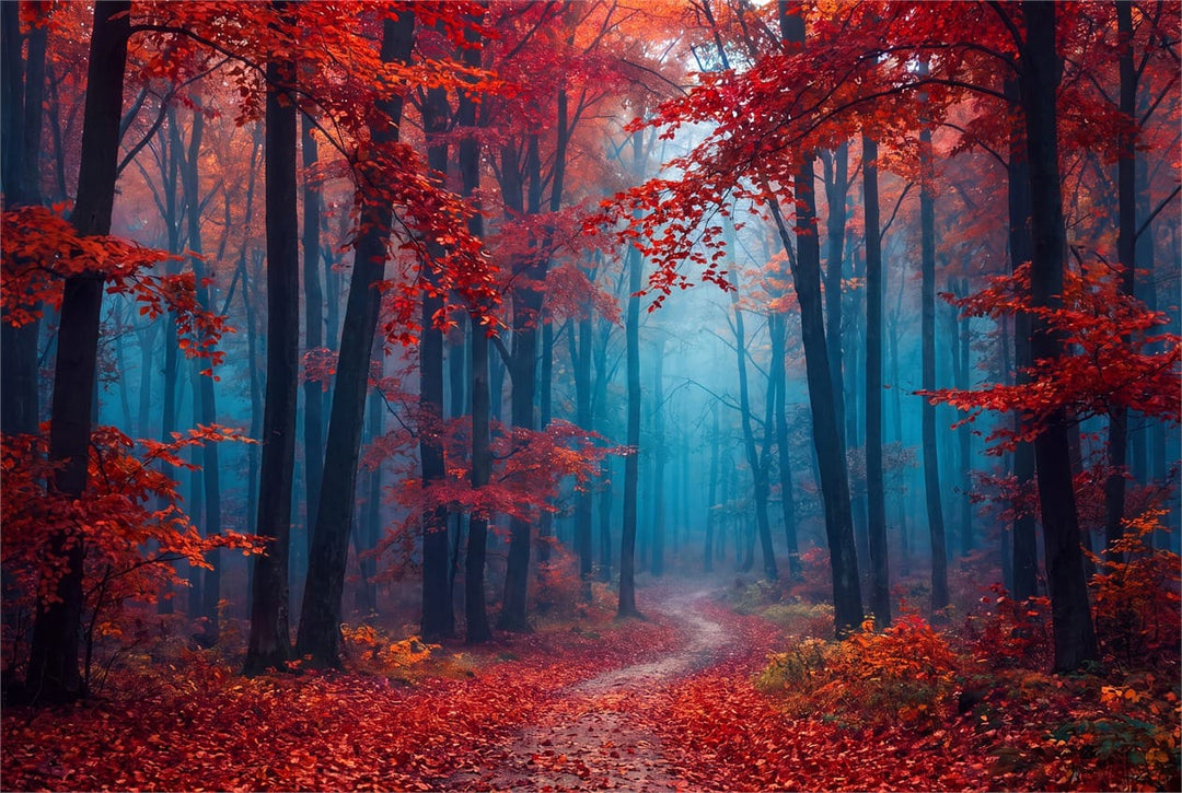 Crimson Blue Mist Autumn Forest Wallpaper Mural in custom
