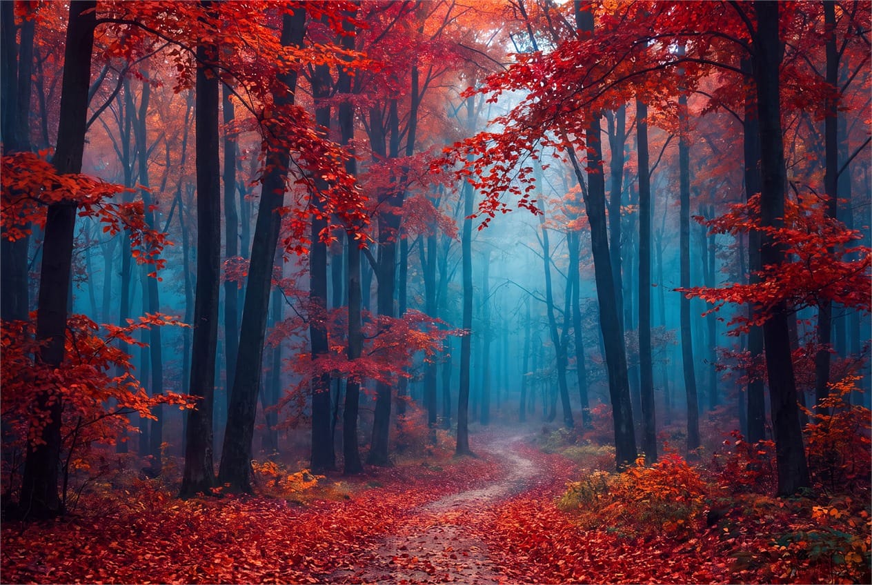 Crimson Blue Mist Autumn Forest Wallpaper Mural