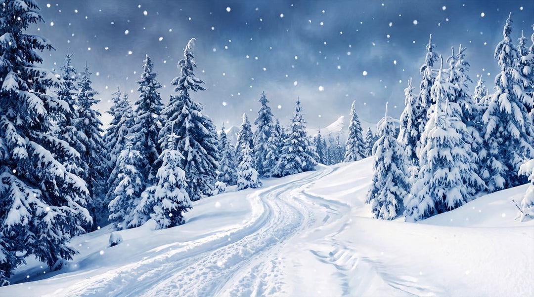 Frost Navy Serene Nordic Winter Forest Wallpaper Mural in custom