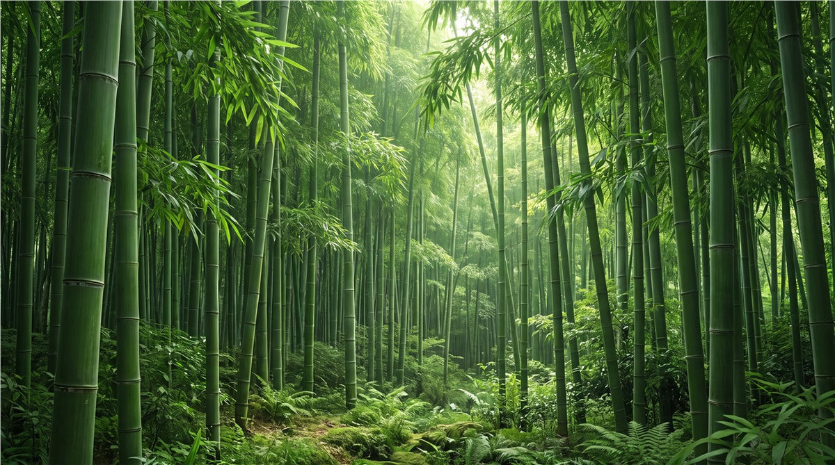 custom room green bamboo forest wallpaper mural stick on vinyl non woven removable