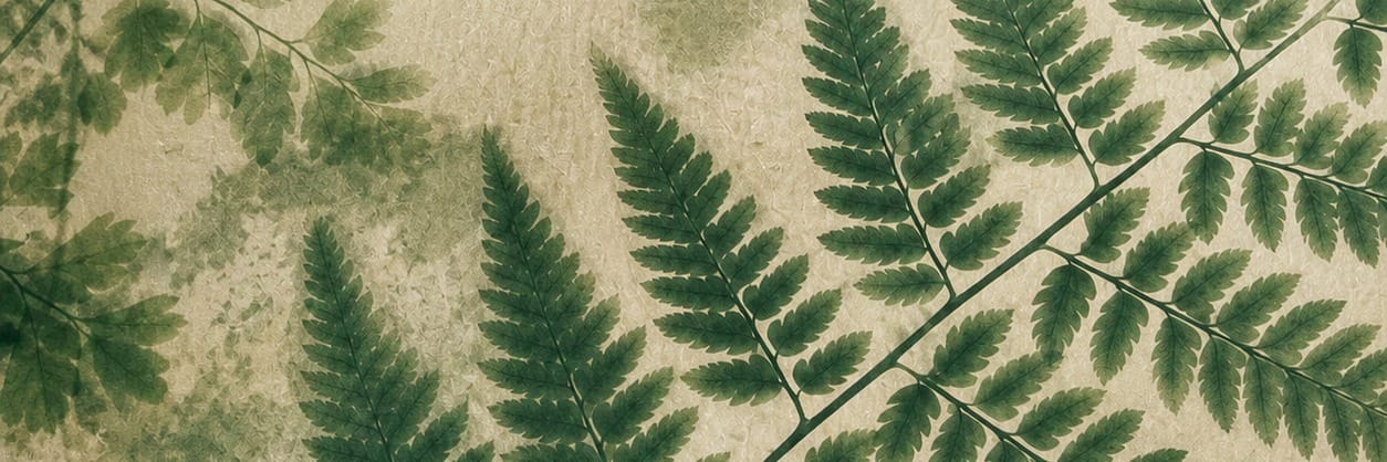 Sage Fern Wallpaper Mural