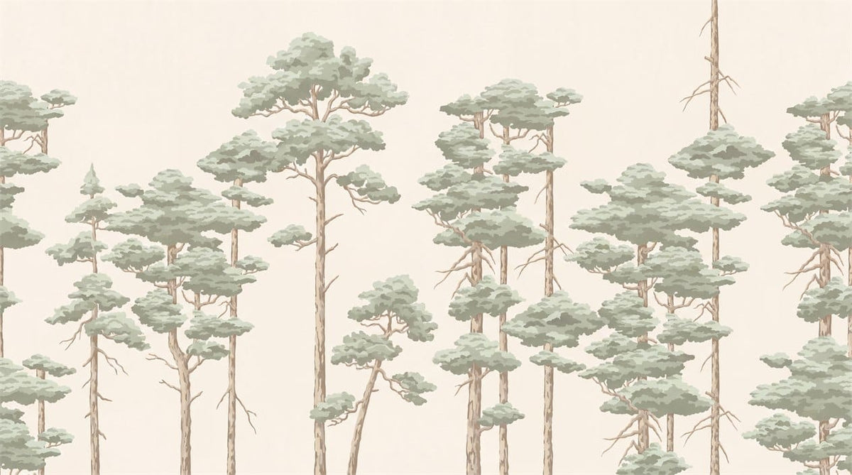 Sage watercolor pine tree wallpaper mural main image