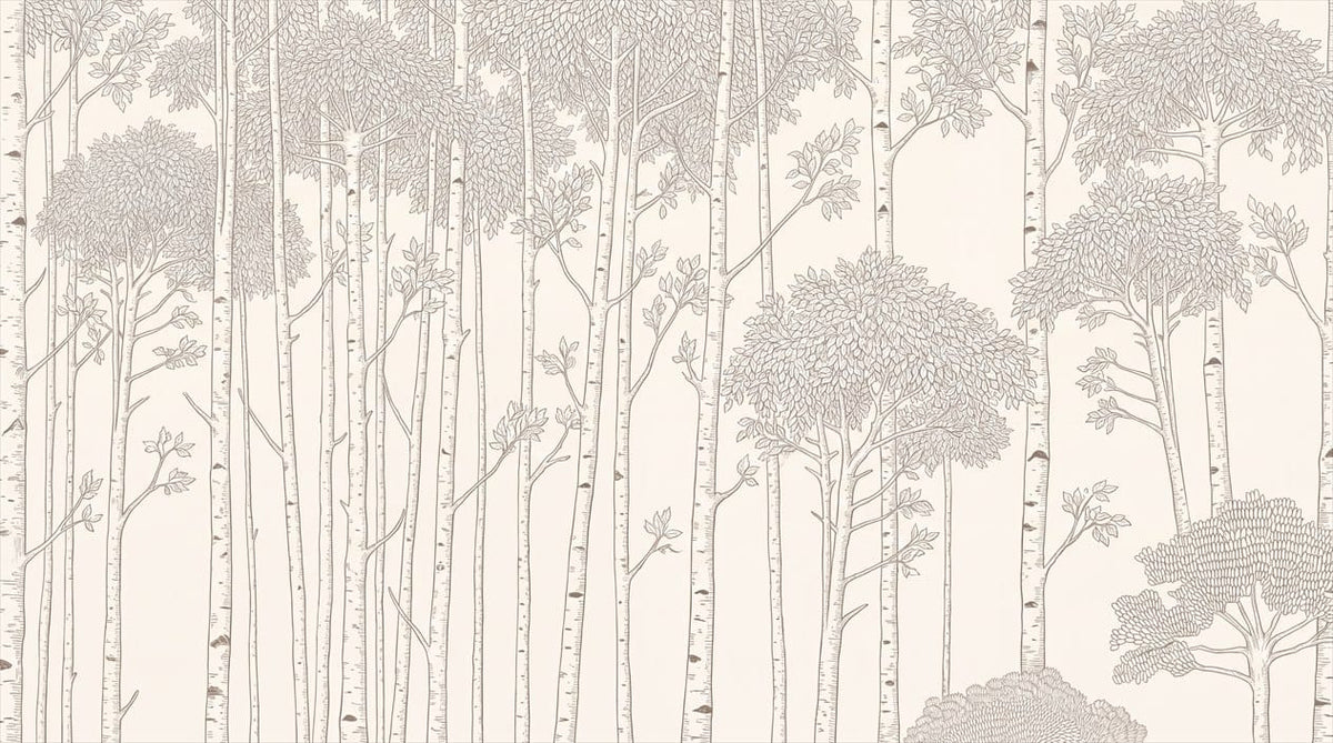 Winter Tan Landscape Nordic Birch Forest Wallpaper Mural in custom