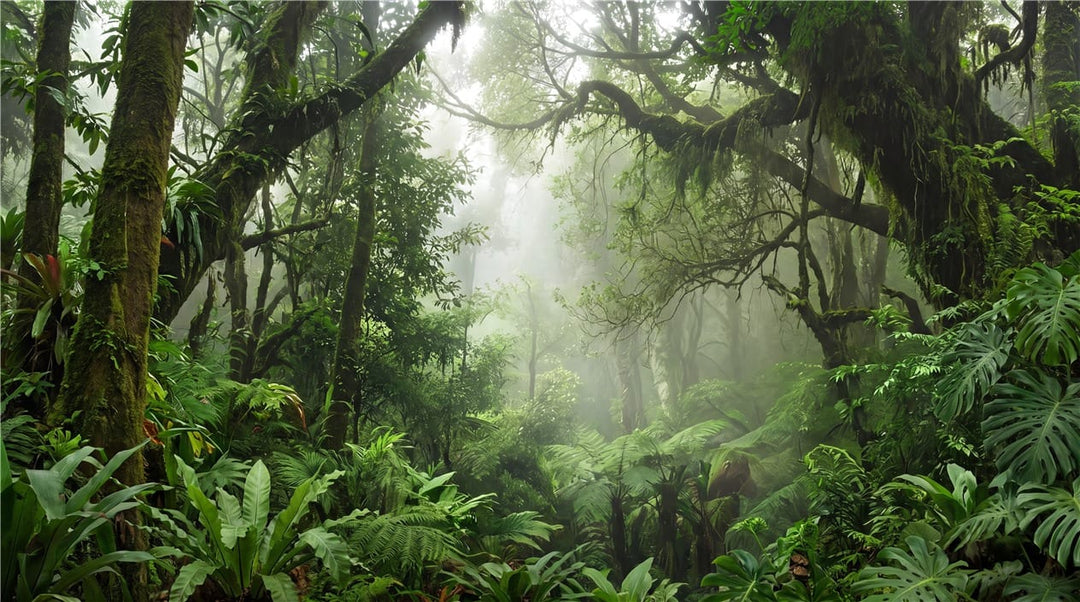 Emerald Mist Ancient Green Jungle Wallpaper Mural in forest