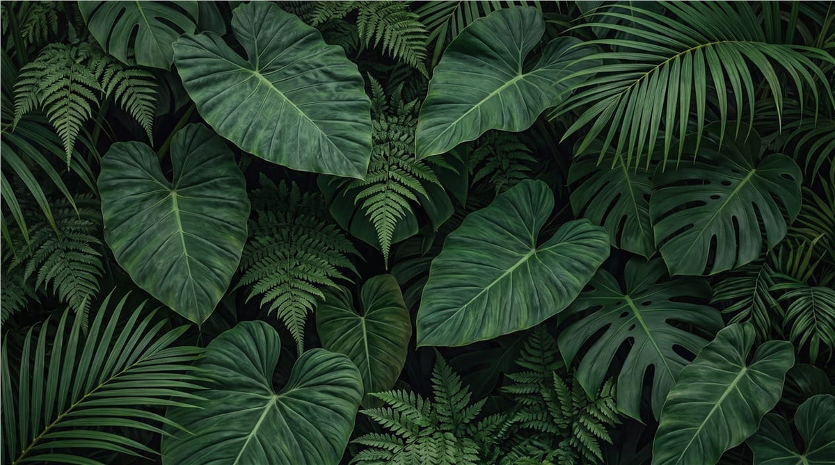 Deep Green Elephant Ear Jungle Wallpaper Mural in green