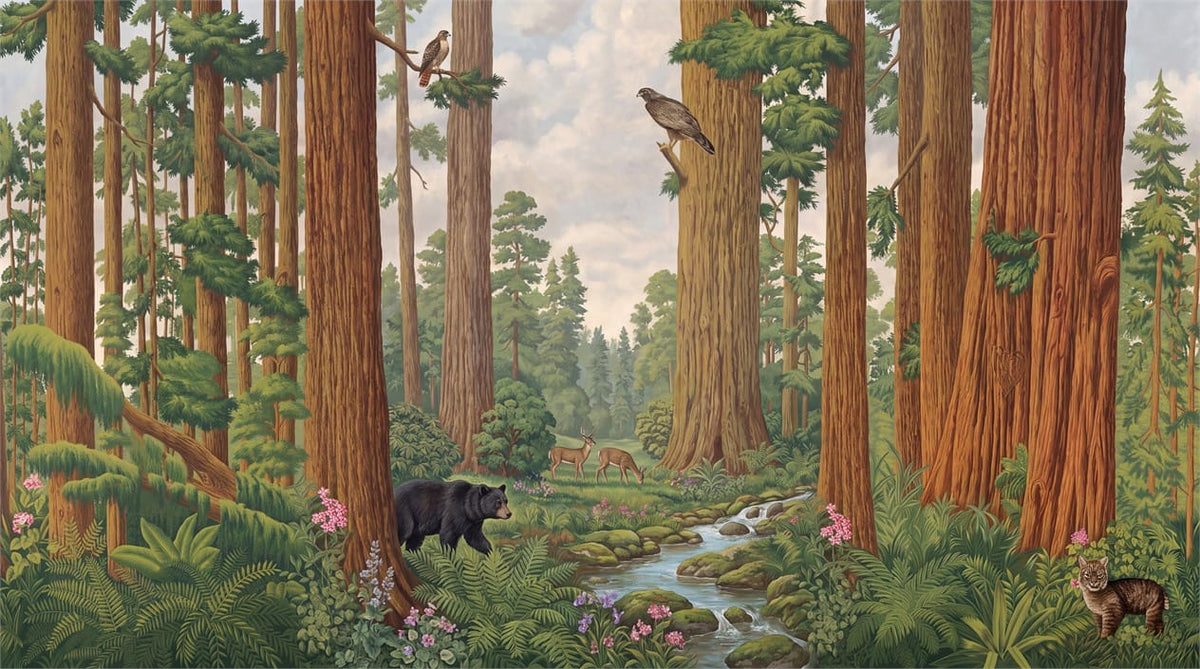 Majestic Wildlife Stream Redwood Forest Wallpaper Mural in green