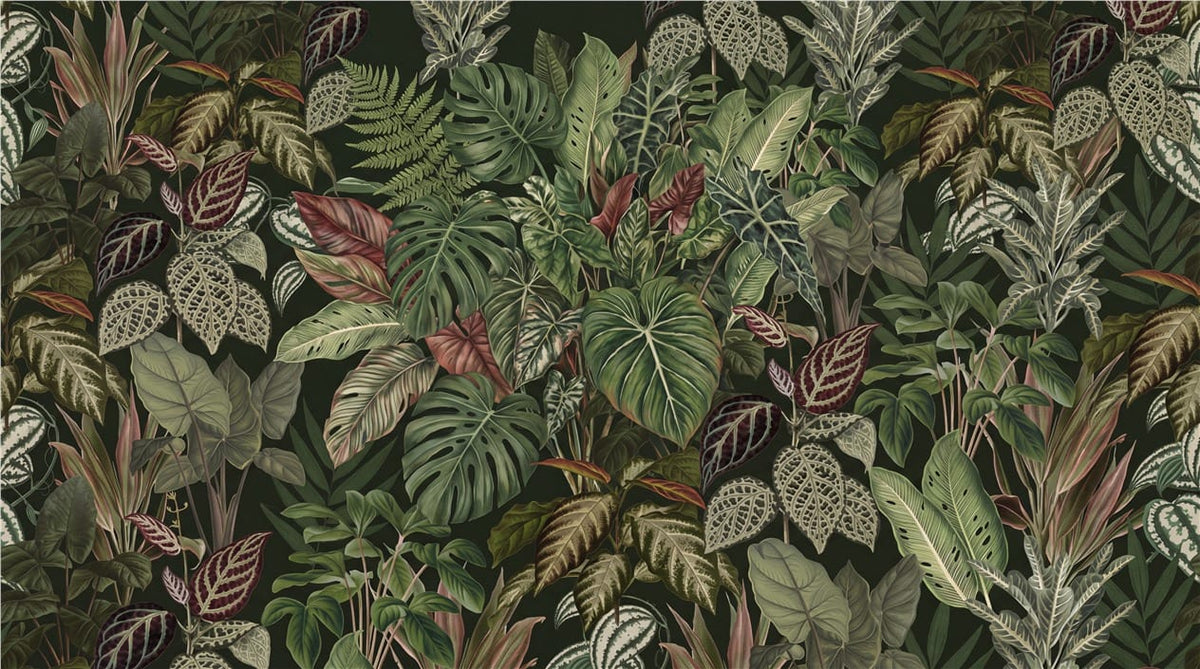 Dark Variegated Leaf Jungle Wallpaper Mural in jungle