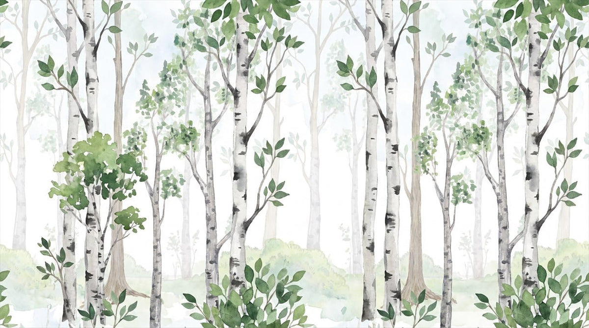 Soft Green Scandinavian Birch Forest Wallpaper Mural in main