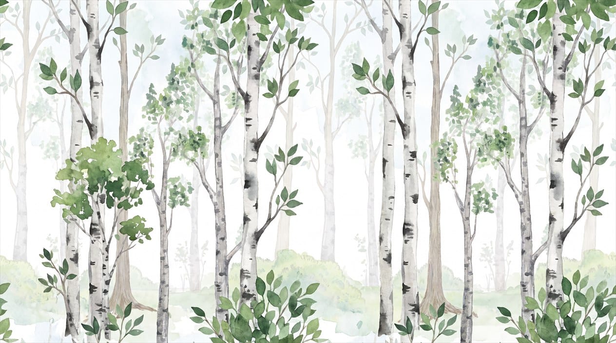 Soft Green Scandinavian Birch Forest Wallpaper Mural