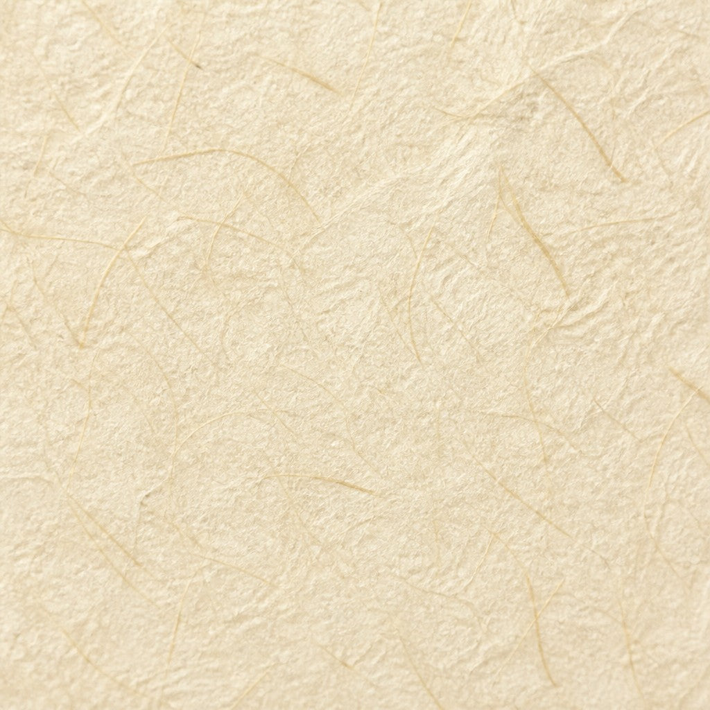 Neutral Rice Wallpaper Mural product view