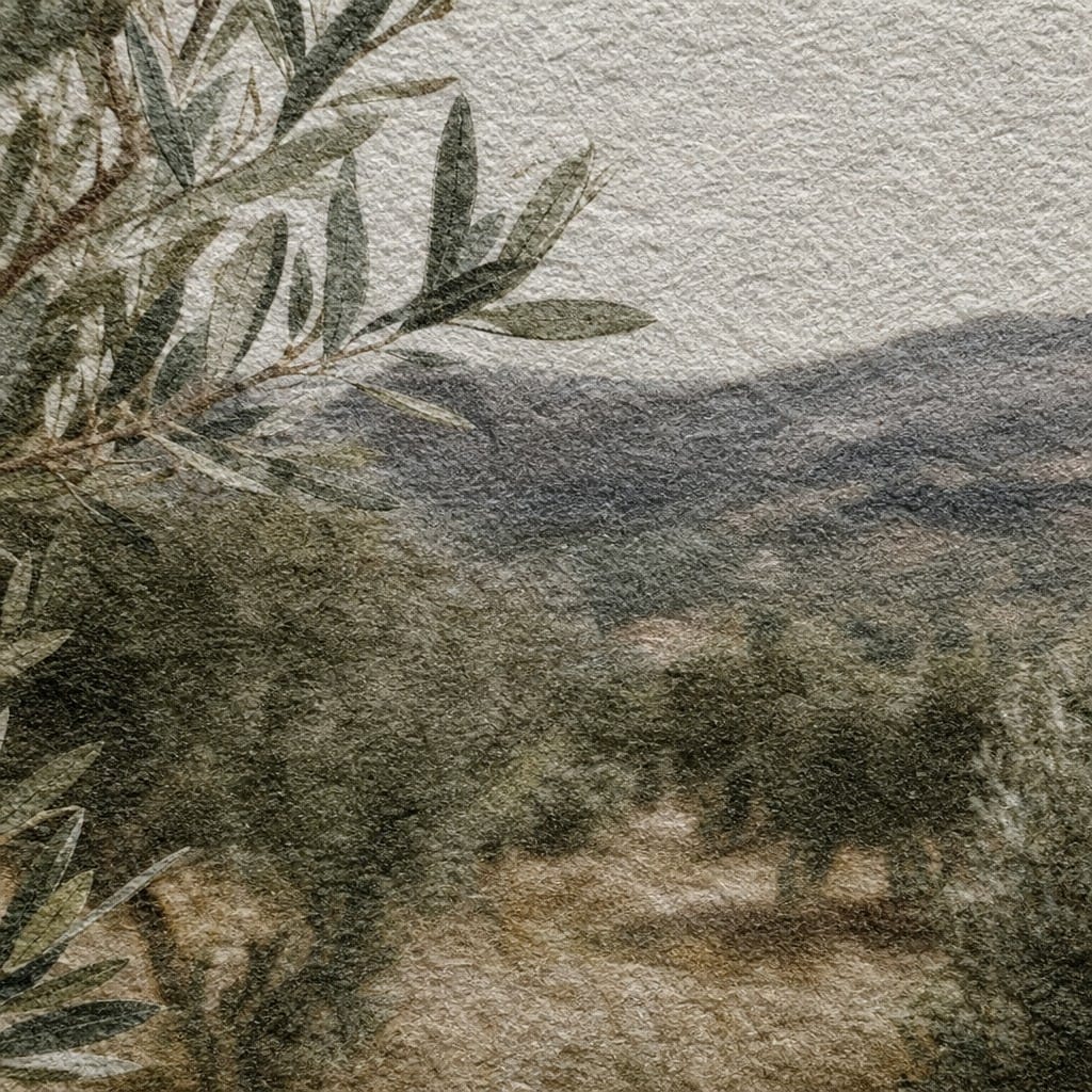 Olive Grove Wallpaper Mural product view