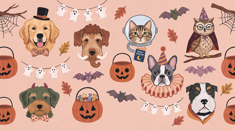 Pink Pets Halloween Wallpaper Mural