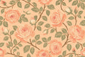 Peach Rose Wallpaper Mural