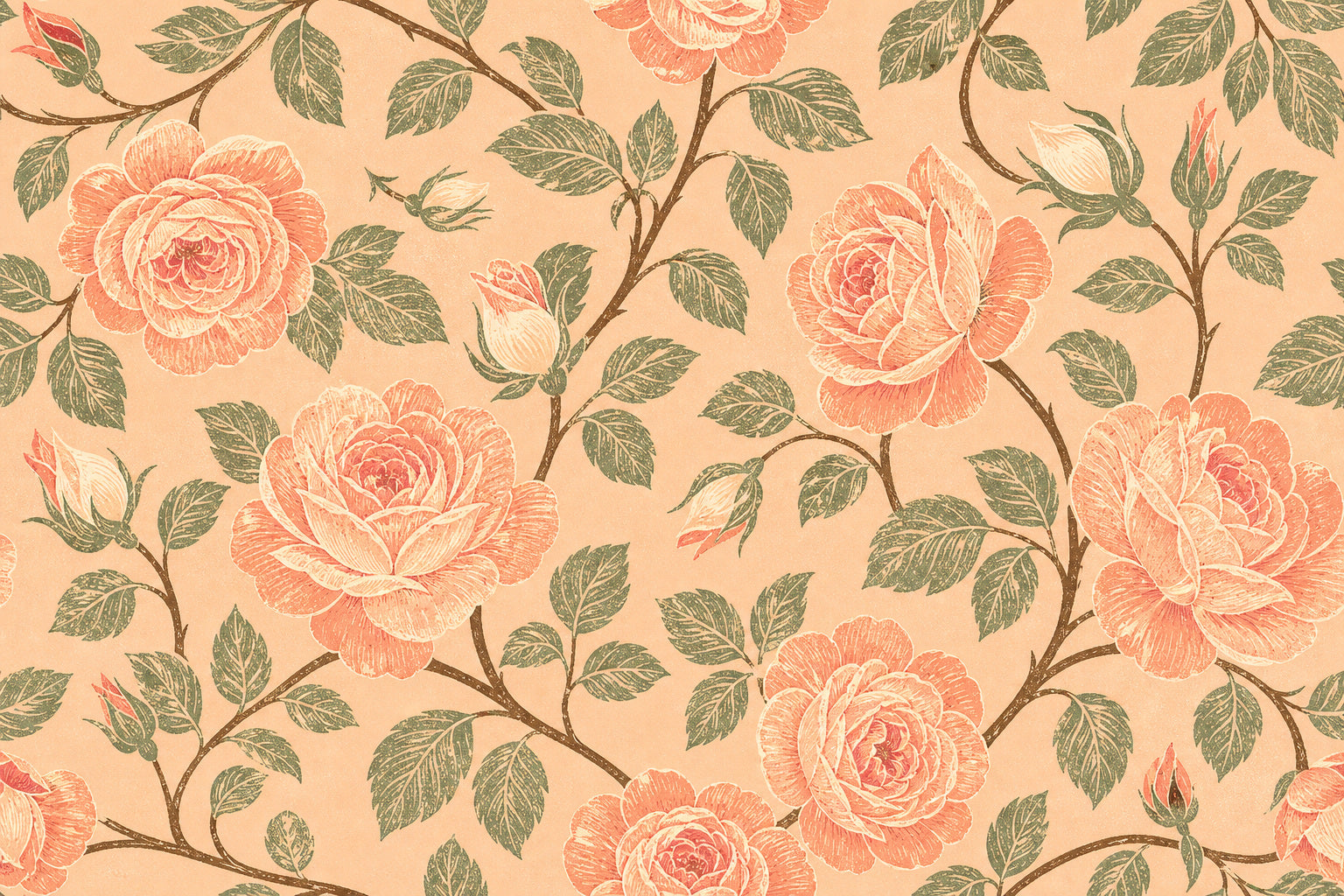 Peach Rose Wallpaper Mural