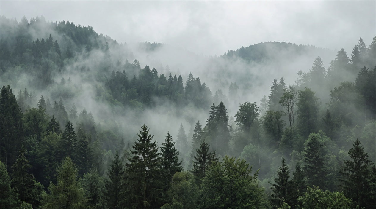 Misty Green Mountain Forest Wallpaper Mural