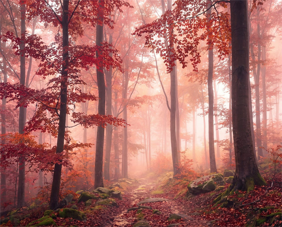 Blush Morning Mist Autumn Forest Wallpaper Mural in pink