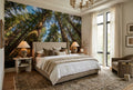 Sunlit Upward View Giant Redwood Forest Wallpaper Mural