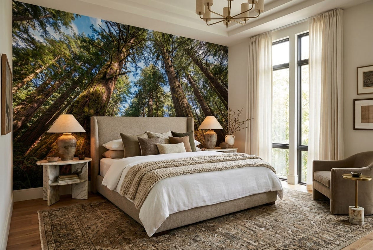 Sunlit Upward View Giant Redwood Forest Wallpaper Mural in redwood