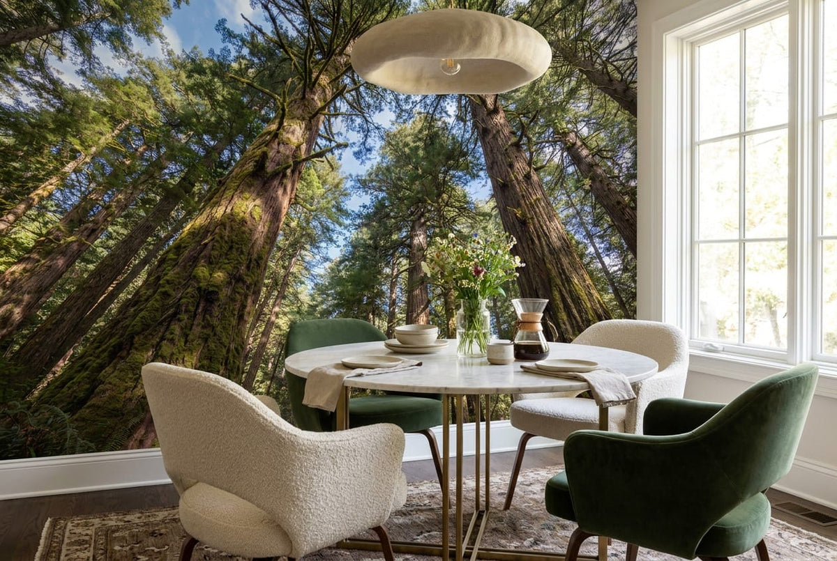 Sunlit Upward View Giant Redwood Forest Wallpaper Mural in redwood