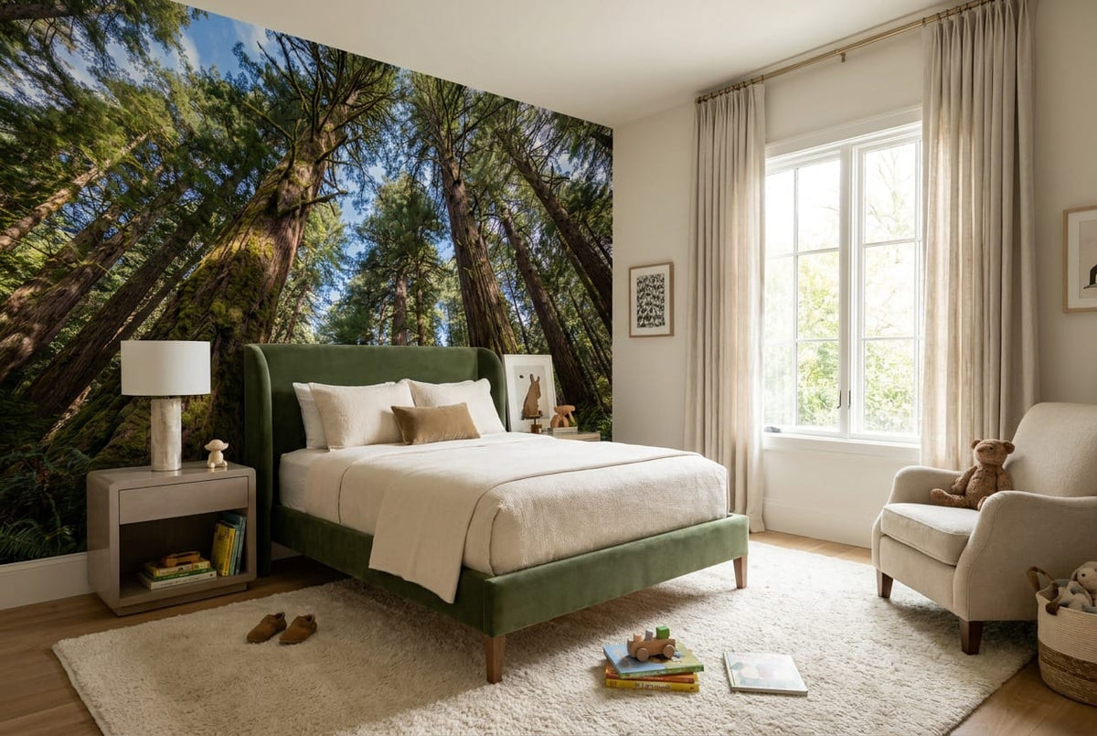 Sunlit Upward View Giant Redwood Forest Wallpaper Mural in redwood