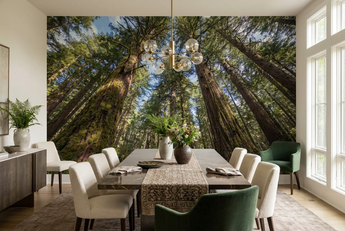 Sunlit Upward View Giant Redwood Forest Wallpaper Mural in redwood