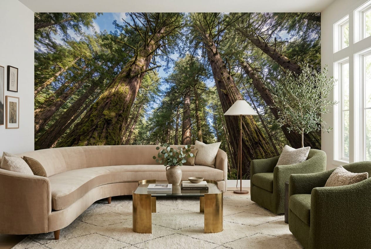 Sunlit Upward View Giant Redwood Forest Wallpaper Mural in redwood